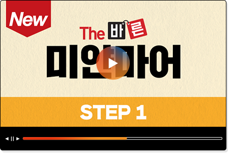 THE 바른 미얀마어